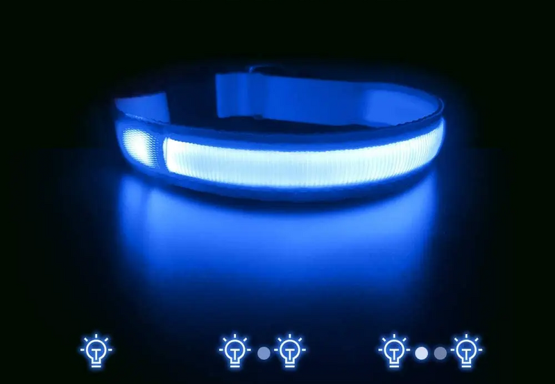 Collar Led Luminoso Mascotas Perro y Gato