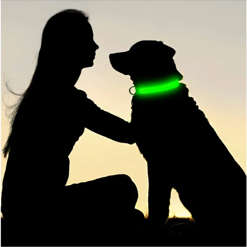 Collar Led Luminoso Mascotas Perro y Gato