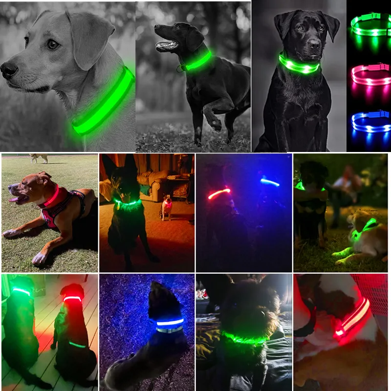 Collar Led Luminoso Mascotas Perro y Gato